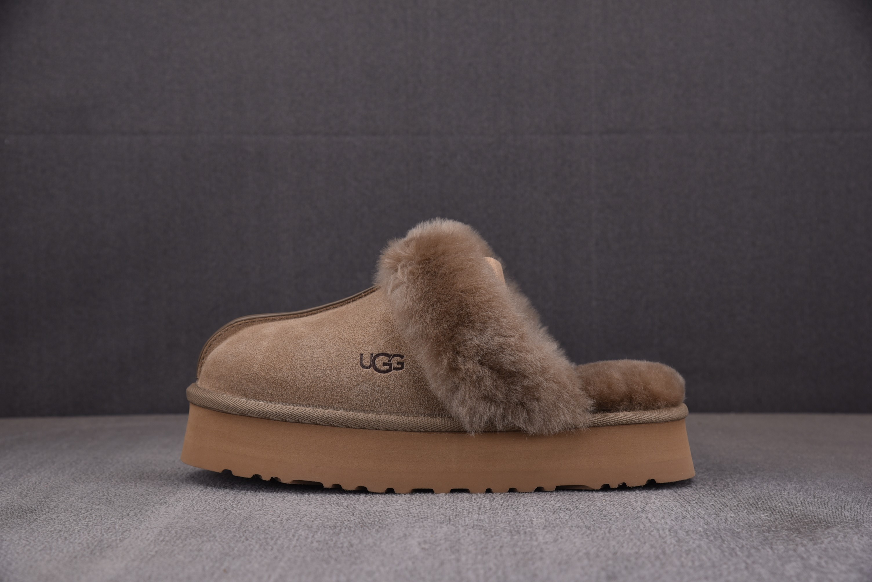 UGG Disquette Slipper 羚羊棕