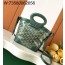 [리미티드] 고야드 벨루가 미니백 초록색 23*8*18.5cm