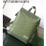 [리미티드] 고야드 시스알팡 백팩 그린 33*43*14cm
