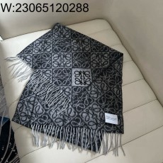 AGG 로에베 올 오버 아나그램 ...