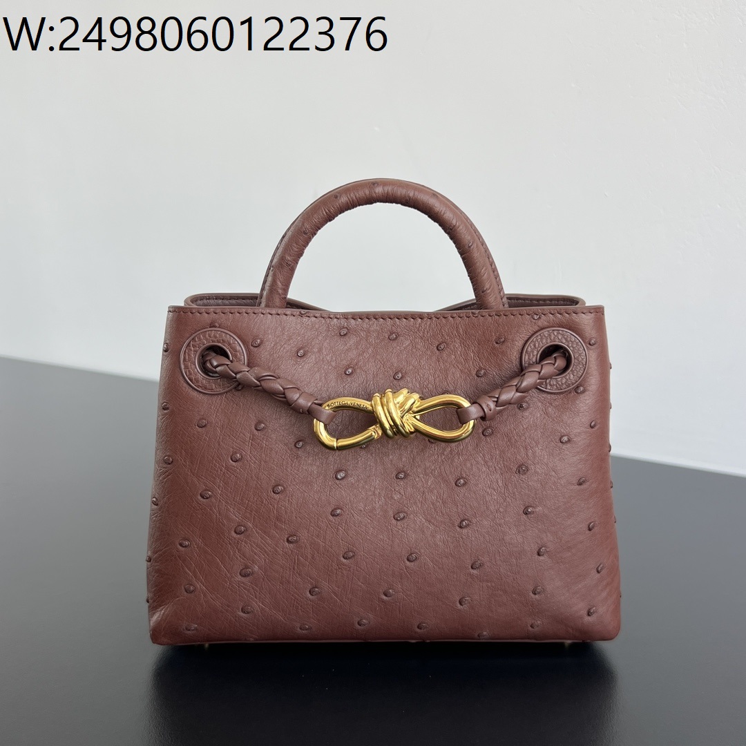 징 팩토리 보테가베네타 미니 안디아모 사펠레 레드스톤 805232 20*15*7cm 타조가죽 