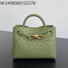 징 팩토리 보테가베네타 미니 안디아모 그린 805232 20*15*7cm 타조가죽